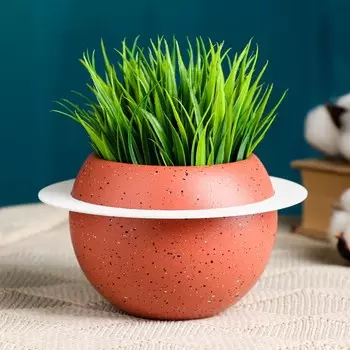 Кашпо "Сатурн" 10х8см, МИКС