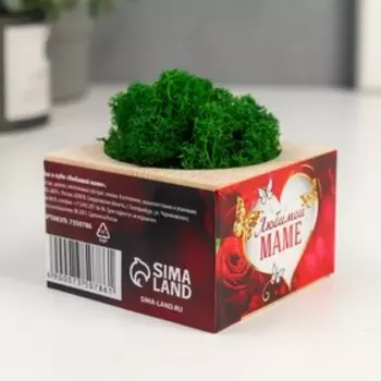 Кашпо со стабилизированным мхом "Любимой маме"