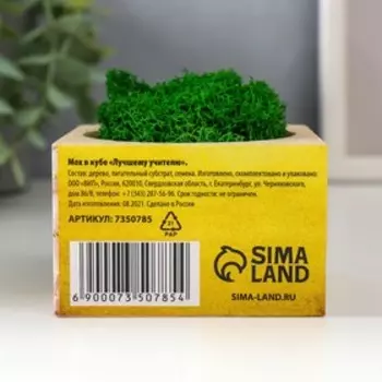 Кашпо со стабилизированным мхом "Лучшему учителю"