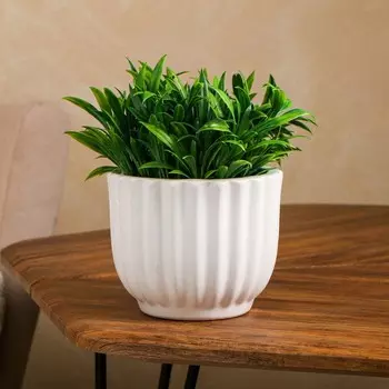 Кашпо "Стандарт", белое, керамика, 0.9 л, 1 сорт, Иран