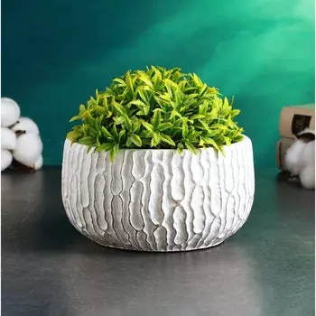 Кашпо «Томми» 161610 см