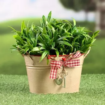 Кашпо «Ведерко Рустад», 14119 см, бежевое