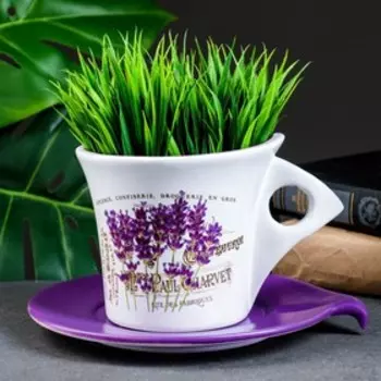 Горшок для цветов «Вильда», 800 мл, 161211 см, керамика, с поддоном, белый, фиолетовый