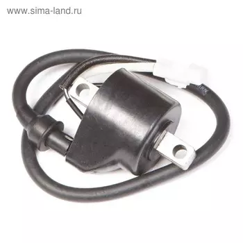Катушка зажигания Arctic Cat, OEM 3007-548, 4012168, 4012169, SM-01176
