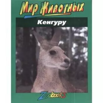 Кенгуру
