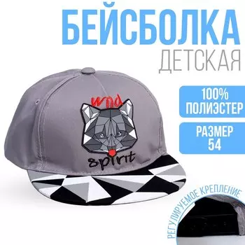 Кепка детская "Wild spirit" , р-р. 52-54 см