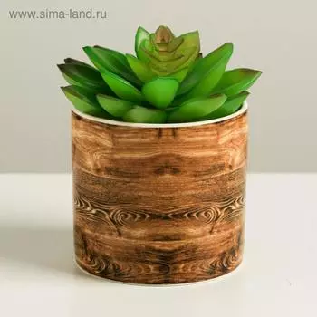 Керамическое кашпо «Дерево», 8 х 7,5 см