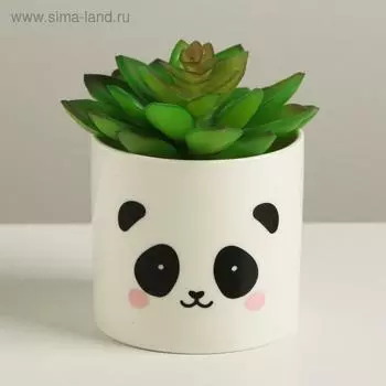 Керамическое кашпо «Панда», 8 х 7,5 см