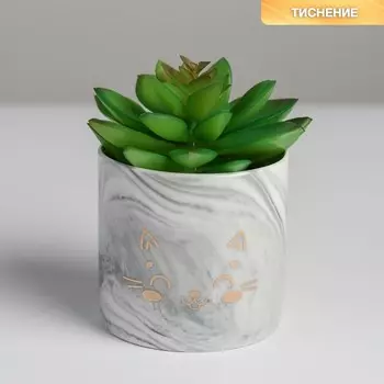 Кашпо для цветов керамическое с тиснением «Котик», 8 х 7,5 см