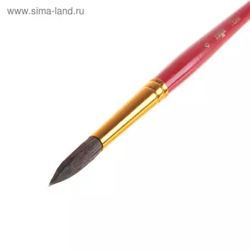 Кисть пони, круглая №6, "Гамма"