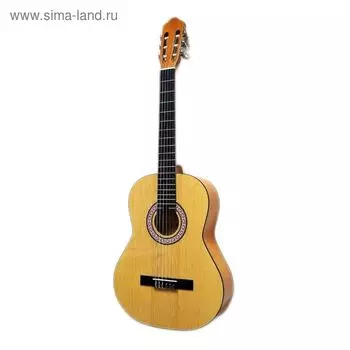 Классическая гитара HOMAGE LC-3910