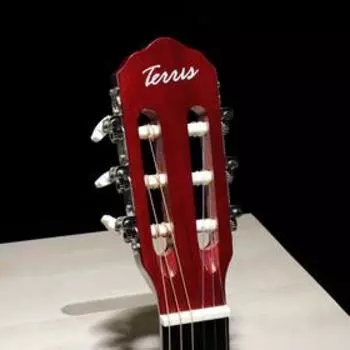 Классическая гитара TERRIS TC-3901A NA