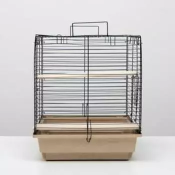 Клетка для шиншилл "Пижон" №8 с 2-я деревянными этажами, разборная, 58 х 40 х 48 см, бежевая