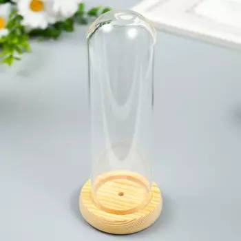 Клош стеклянный мини 16,5х6,4х6,4 см