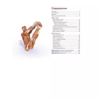 Ключевые позы йоги: руководство по функциональной анатомии йоги. Лонг Р.