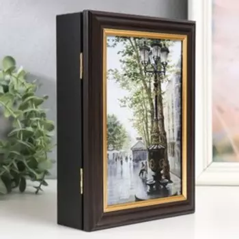 Ключница "Фонари Барселоны" 15х21 см венге