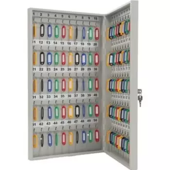 Шкаф для ключей KEY - 100, с брелоками, 60035559 мм, цвет серый