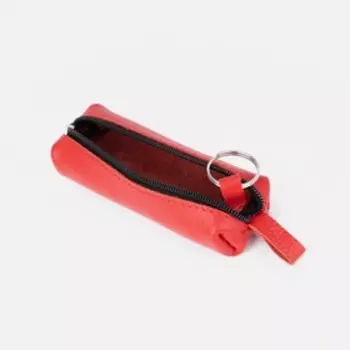 Ключница на молнии, длина 14 см, цвет красный