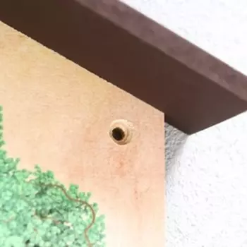 Ключница открытая "Дерево" 19х28 см