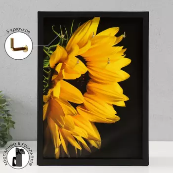 Ключница открытая "Подсолнух" 5 крючков, 23х32 см