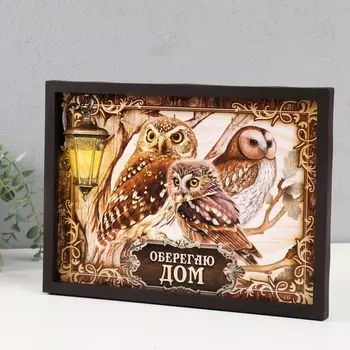 Ключница открытая "Совы" 5 крючков, 23х32 см