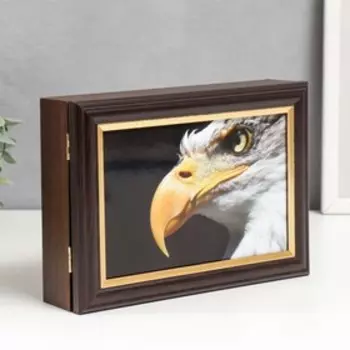 Ключница "Взгляд орла" венге 15х21 см
