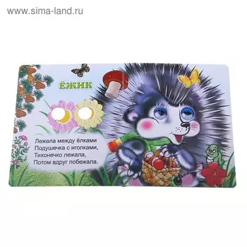 Книжка с глазками «Загадки»