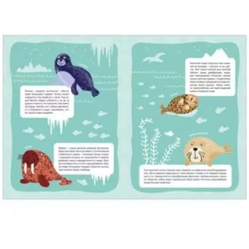 Книжка с многоразовыми наклейками «Холодная Арктика». Минишева Т.
