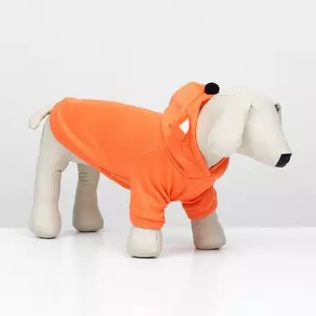 Кофта с капюшоном «Лисенок», размер M (ДС 25, ОШ 28, ОГ 40 см), оранжевая