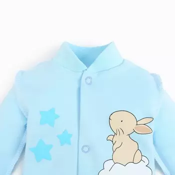 Кофточка детская, цвет голубой, зайка, рост 68 см