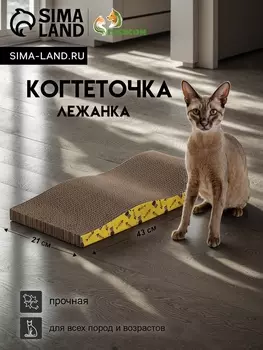 Когтеточка-лежанка «Пижон» из гофрокартона с кошачьей мятой «Волна», 43213.5 см