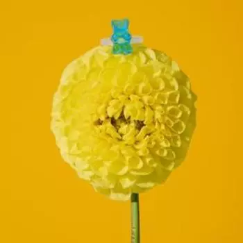 Кольцо «Мармеладный мишка», цвет голубой, размер 17