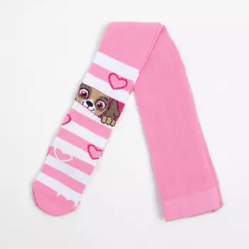 Колготки PAW PATROL "Скай" полоса, рост 86-92 см