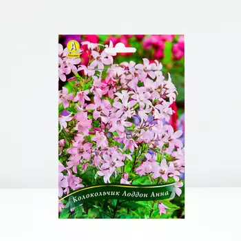 Колокольчик Лоддон Анна, 1 шт, Весна 2024