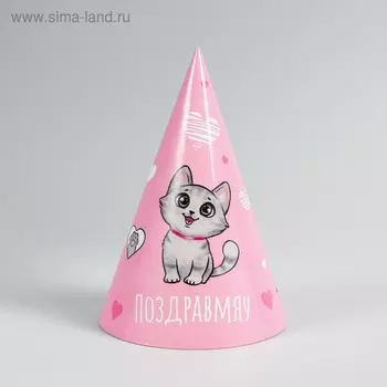 Колпак бумажный «Поздравмяу»