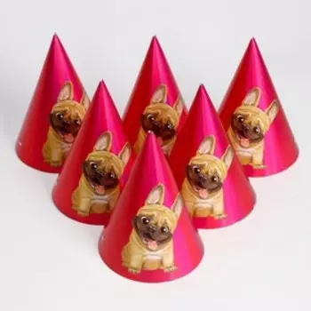 Колпак голографический «Мопс»