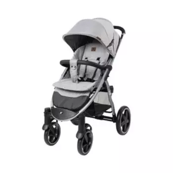 Коляска прогулочная Everflo Walker E-480, цвет silver black