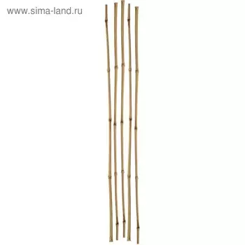 Колышек для подвязки растений, h = 150 см, d = 0,8 см, набор 5 шт., бамбук