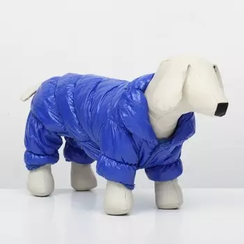 Комбинезон «Блеск», размер 2XL (ДС 44 см, ОГ 59, ОШ 40 см), синий