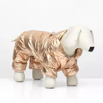 Комбинезон «Блеск», размер S (ДС 24 см, ОГ 34, ОШ 23 см, до 5 кг), золотой