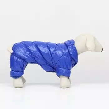 Комбинезон «Блеск», размер XS (ДС 19 см, ОГ 28, ОШ 19 см, до 3 кг), синий