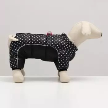 Комбинезон для собак "Горошек", размер 16 (ДС 28 см, ОГ 34 см, ОШ 44 см), чёрный