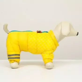Комбинезон для собак "Горошек", размер 20 (ДС 43 см, ОГ 56 см, ОШ 41 см), жёлтый