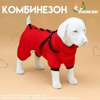 Комбинезон для собак со шлейкой «Моден», размер 22 (ДС 41, ОГ 60, ОШ 43 см), красный