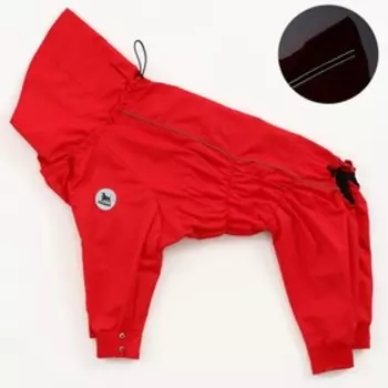 Комбинезон-дождевик (L55) для лабрадора, ретривера, самоеда (девочка), красный