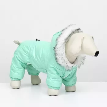 Комбинезон «Глянец», размер M (ДС 30, ОГ 40, ОШ 30 см, до 8 кг), мятный