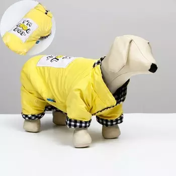 Комбинезон "I'm cool boy", L (ДС 32см, ОШ 32 см, ОГ 42 см), жёлтый