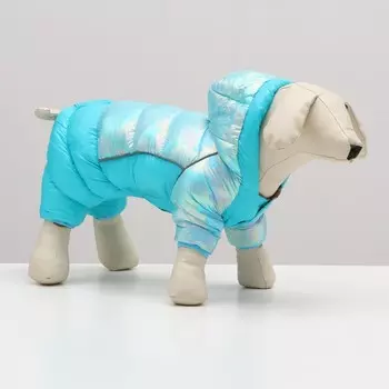 Комбинезон «Эфир», размер 10 (ДС 25, ОГ 34, ОШ 24 см), голубой