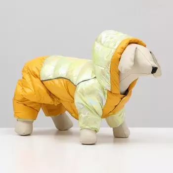 Комбинезон «Эфир», размер 8 (ДС 23, ОГ 30, ОГ 22 см), жёлтый