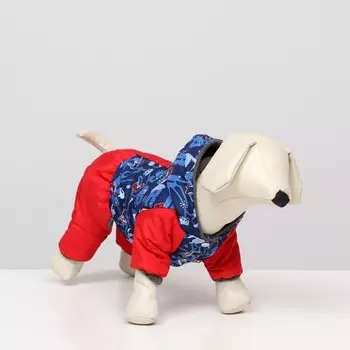 Комбинезон зимний для животных «Лыжник», XS (ДС 18-20, ОШ 22-24, ОГ 29-30 см), микс